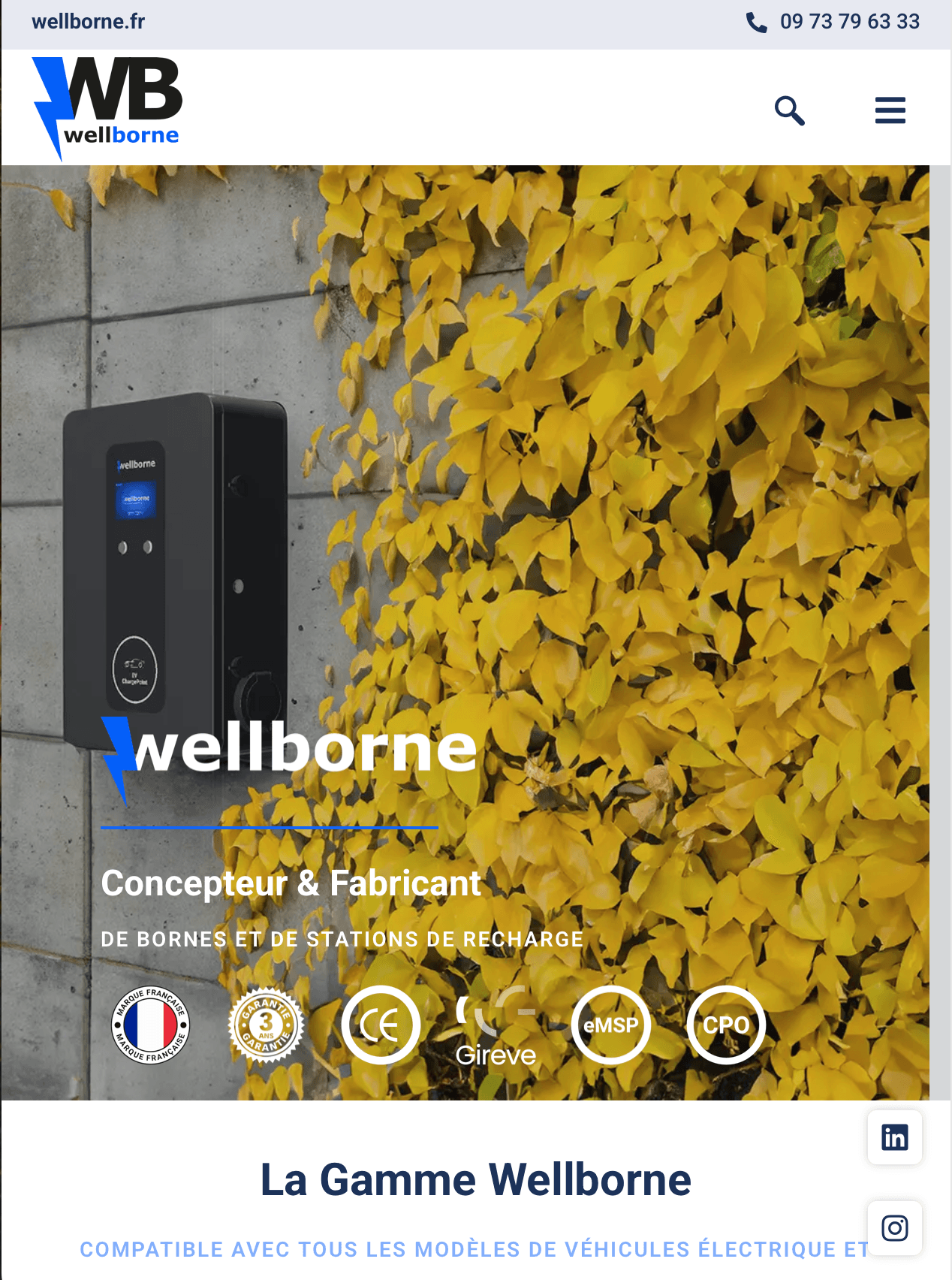 Wellborne